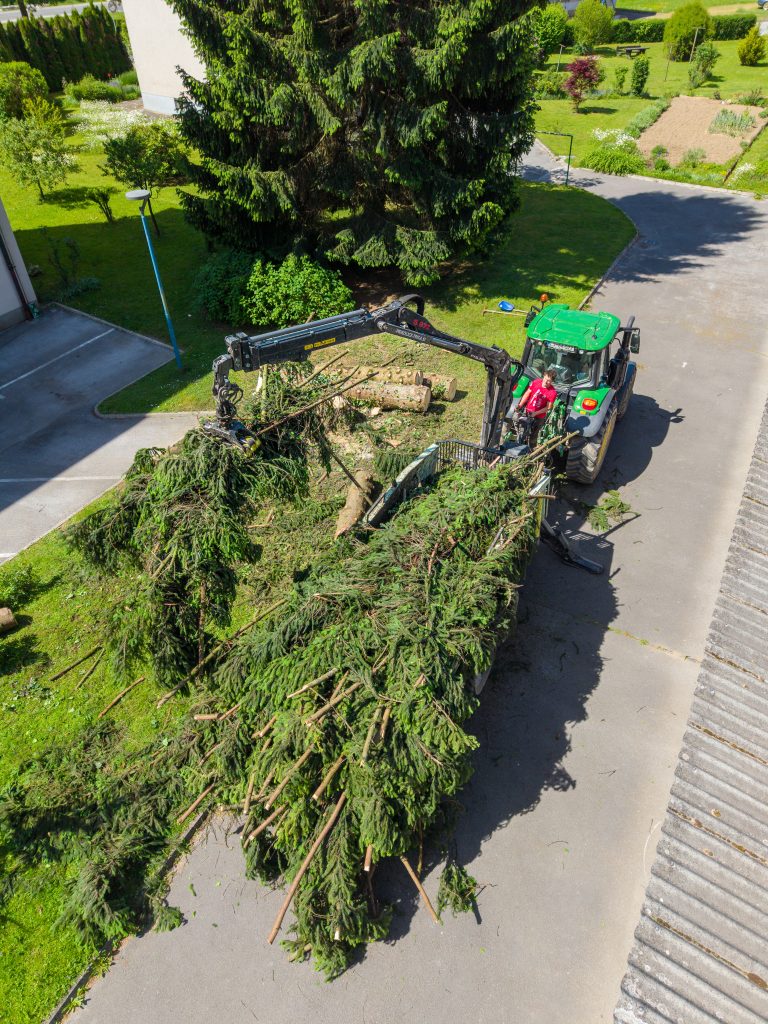 spravilo lesa